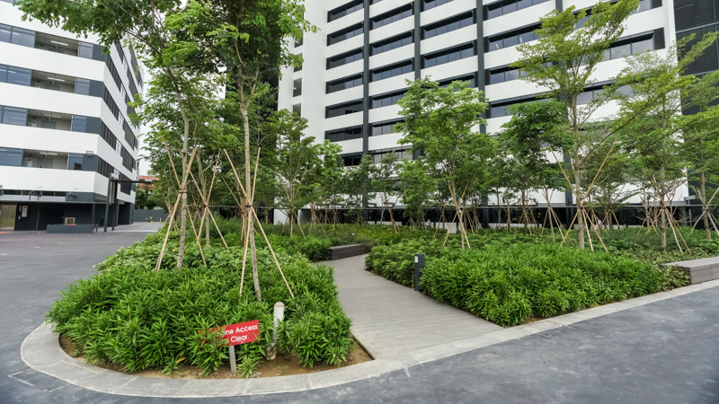 OFS Campus and Facilities - Garden