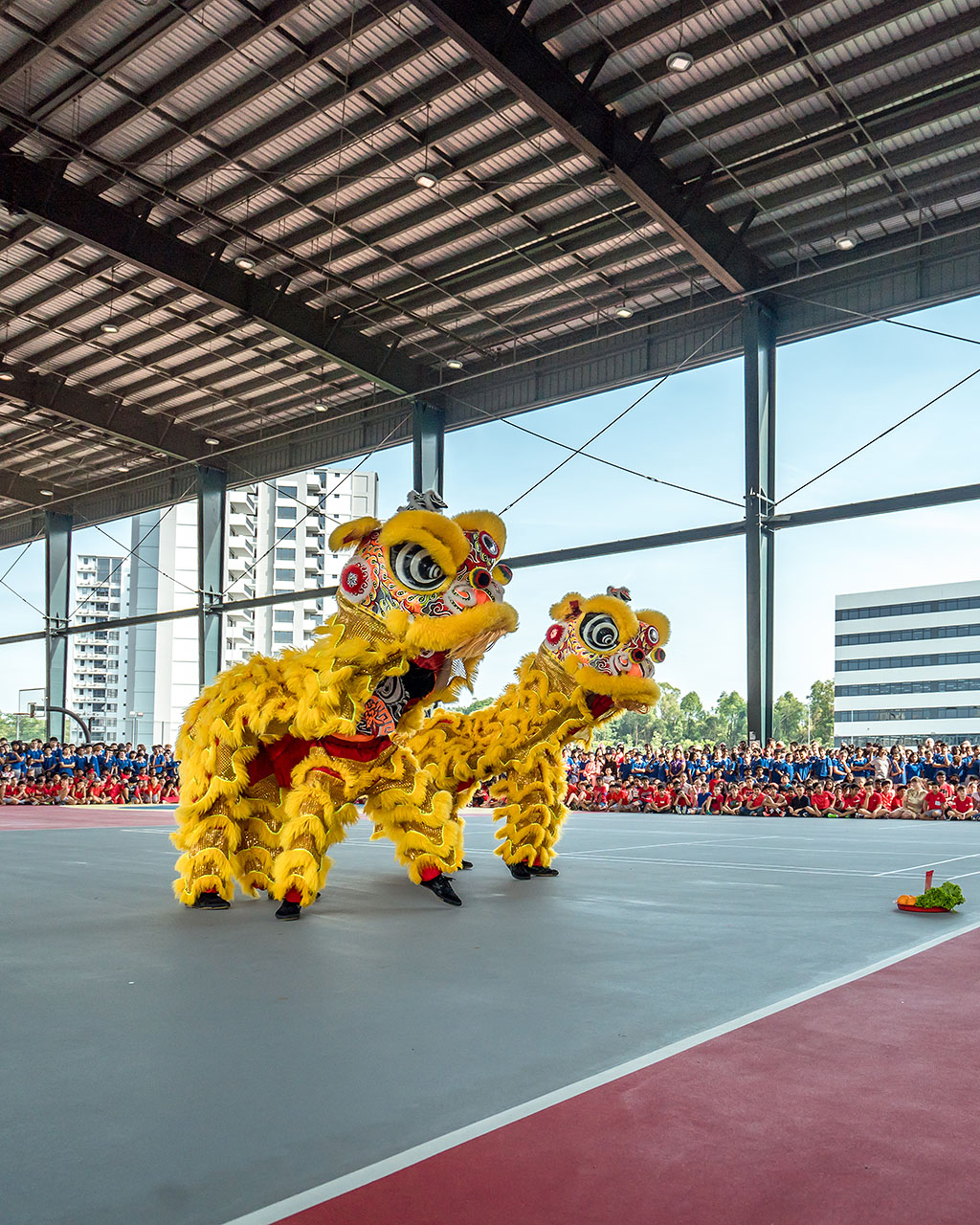 A couple of lions during the OFS Lion Dance performance event on the basketball court