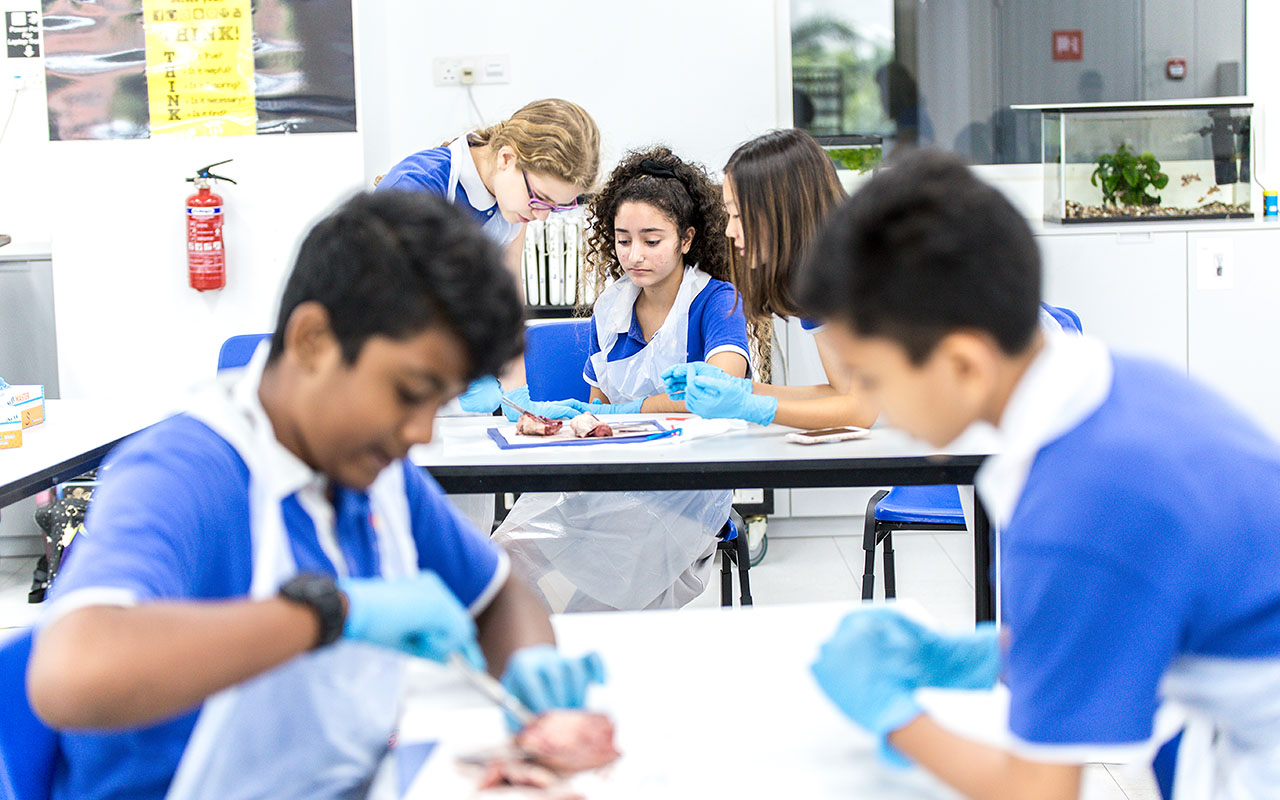A group of OFS Middle School students dissecting animals in the Middle School Science Laboratory